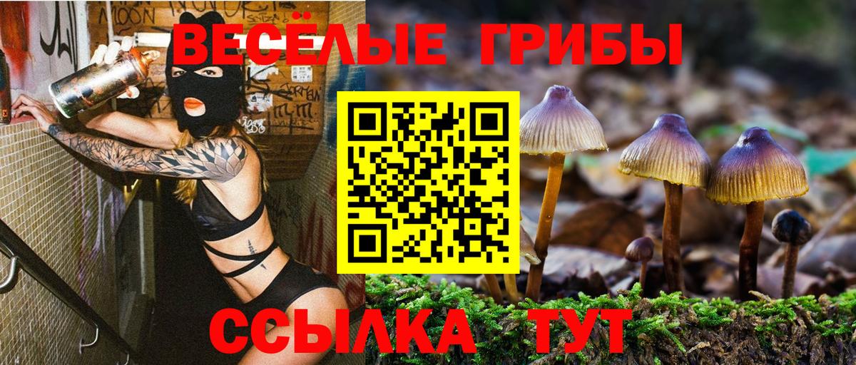 Назарово  Галлюциногенные грибы Cubensis  Вход с VPN 